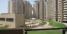 2061 Sq.Ft. Residential Apartment Available For Rent In Orchid Petal, Gurgaon